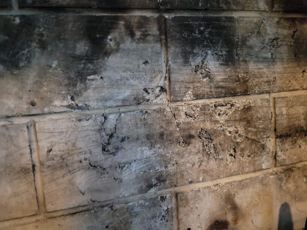 Chimney Sweep (41)