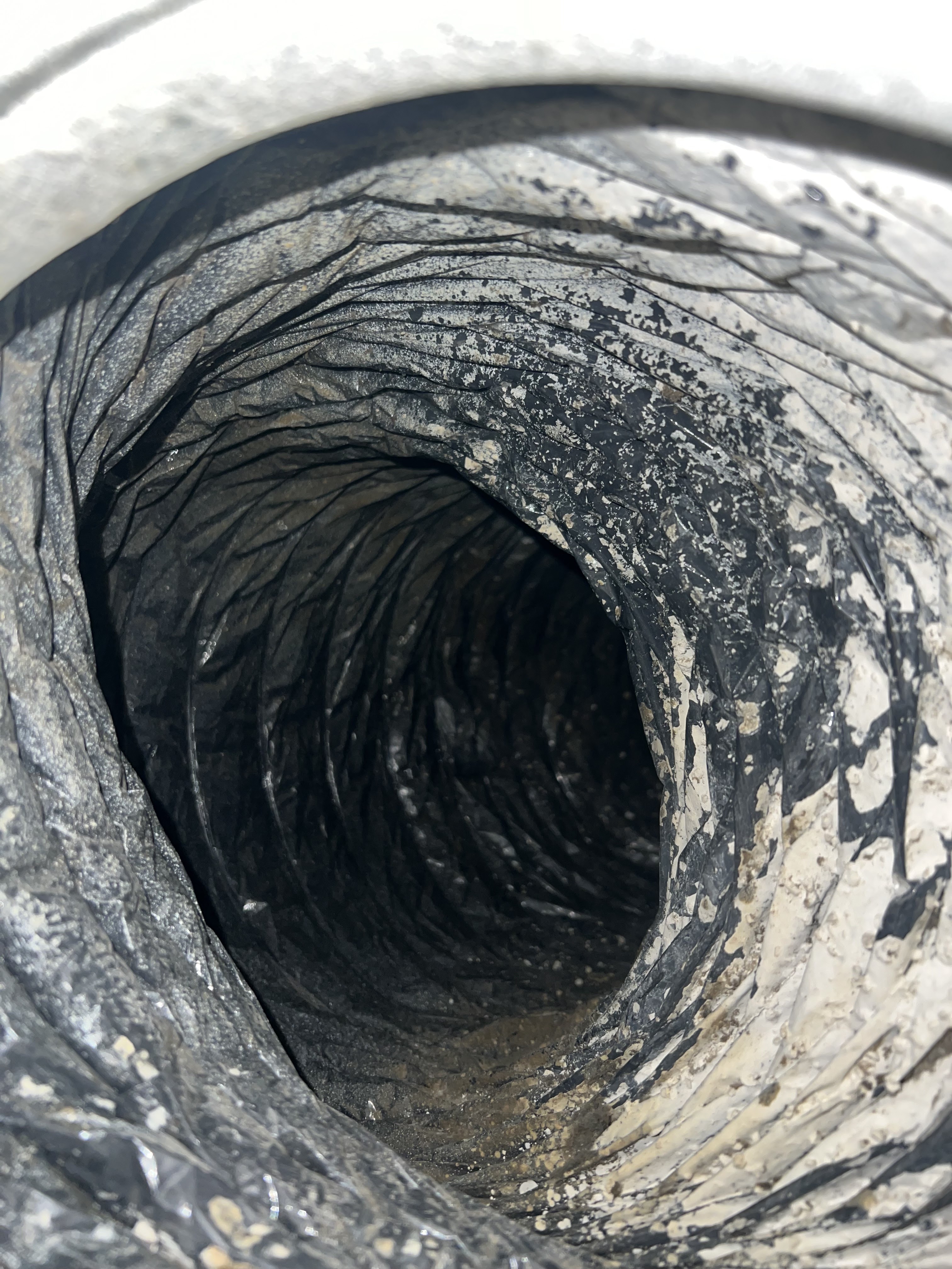 Chimney Sweep (43)
